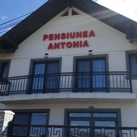 Pensiunea Antonia ซิกเกตู มาร์มาซีเอ ภายนอก รูปภาพ