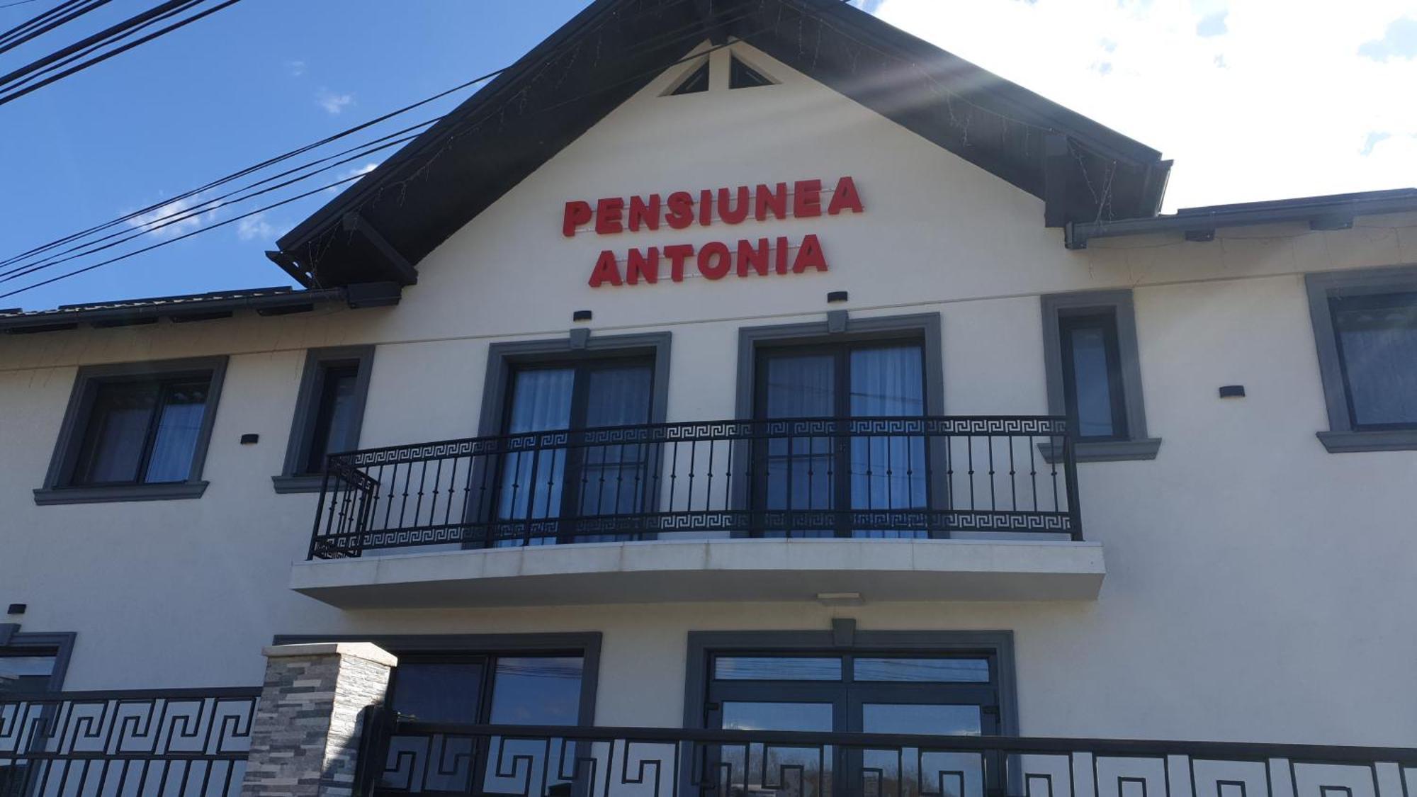 Pensiunea Antonia ซิกเกตู มาร์มาซีเอ ภายนอก รูปภาพ