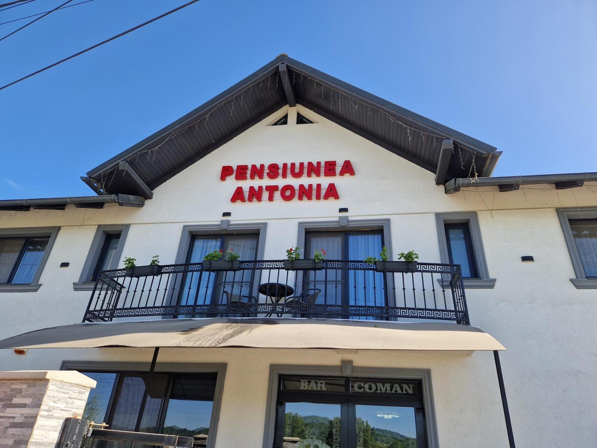 Pensiunea Antonia ซิกเกตู มาร์มาซีเอ ห้อง รูปภาพ