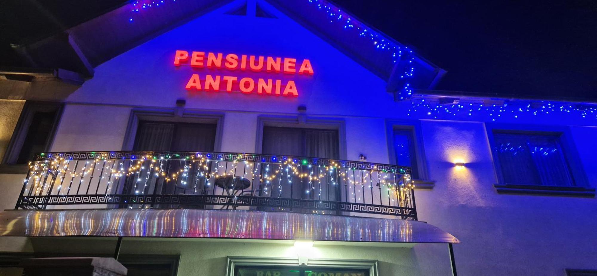 Pensiunea Antonia ซิกเกตู มาร์มาซีเอ ภายนอก รูปภาพ